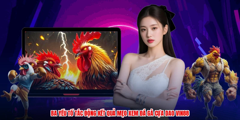 Ba yếu tố tác động kết quả mẹo xem đá gà cựa dao VIN88