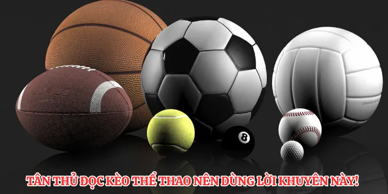 Tân thủ đọc kèo thể thao nên dùng lời khuyên này!