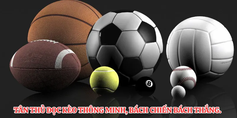 Tân thủ đọc kèo thông minh, bách chiến bách thắng.