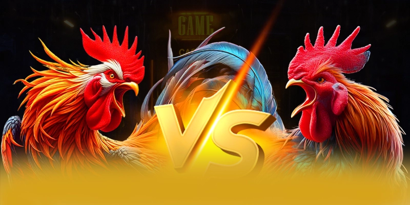 So sánh của 8XBET so với các nhà cái khác So sánh của 8XBET so với các nhà cái khác