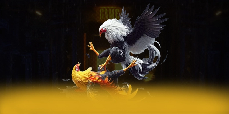 Đánh giá từ game thủ về FB88 Đánh giá từ game thủ về FB88