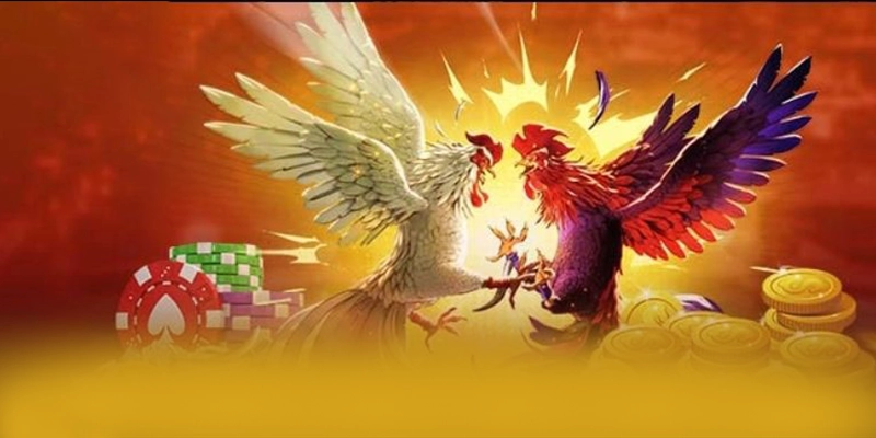 Khả năng truy cập trên điện thoại di động cùng BET88 Khả năng truy cập trên điện thoại di động cùng BET88