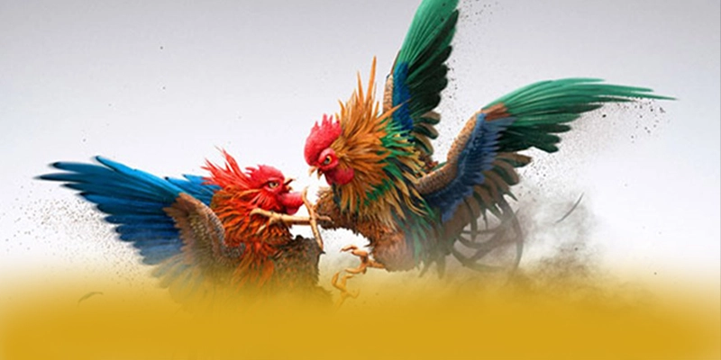 SUNWIN - Sảnh game tối ưu tại Việt Nam SUNWIN - Sảnh game tối ưu tại Việt Nam
